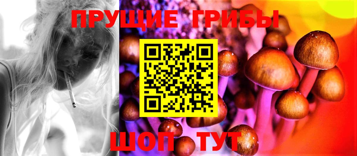 Псилоцибиновые грибы Psilocybe  Вход с VPN  Галлюциногенные грибы Cubensis  Семёнов 