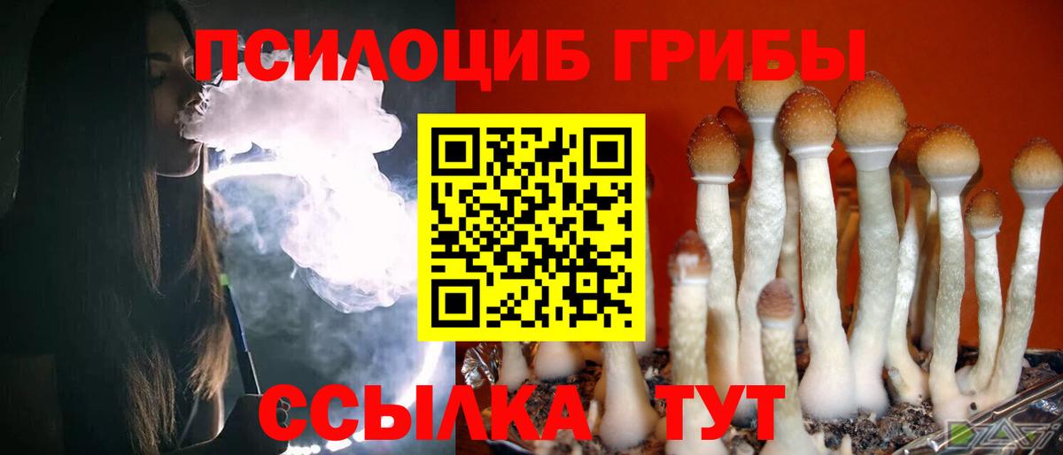 Галлюциногенные грибы GOLDEN TEACHER Семёнов